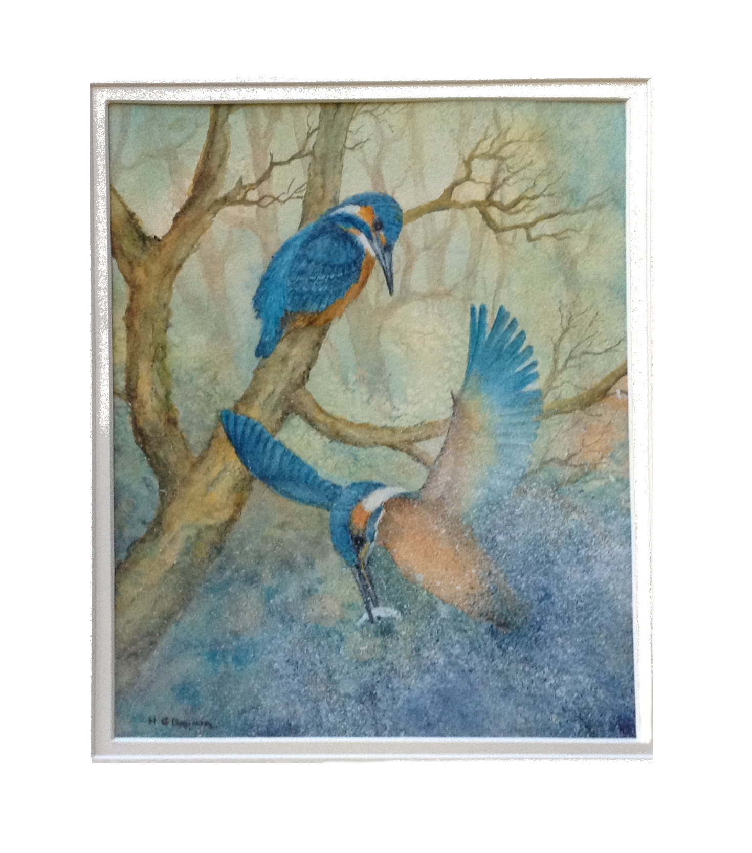Pastels: Two Kingfishers